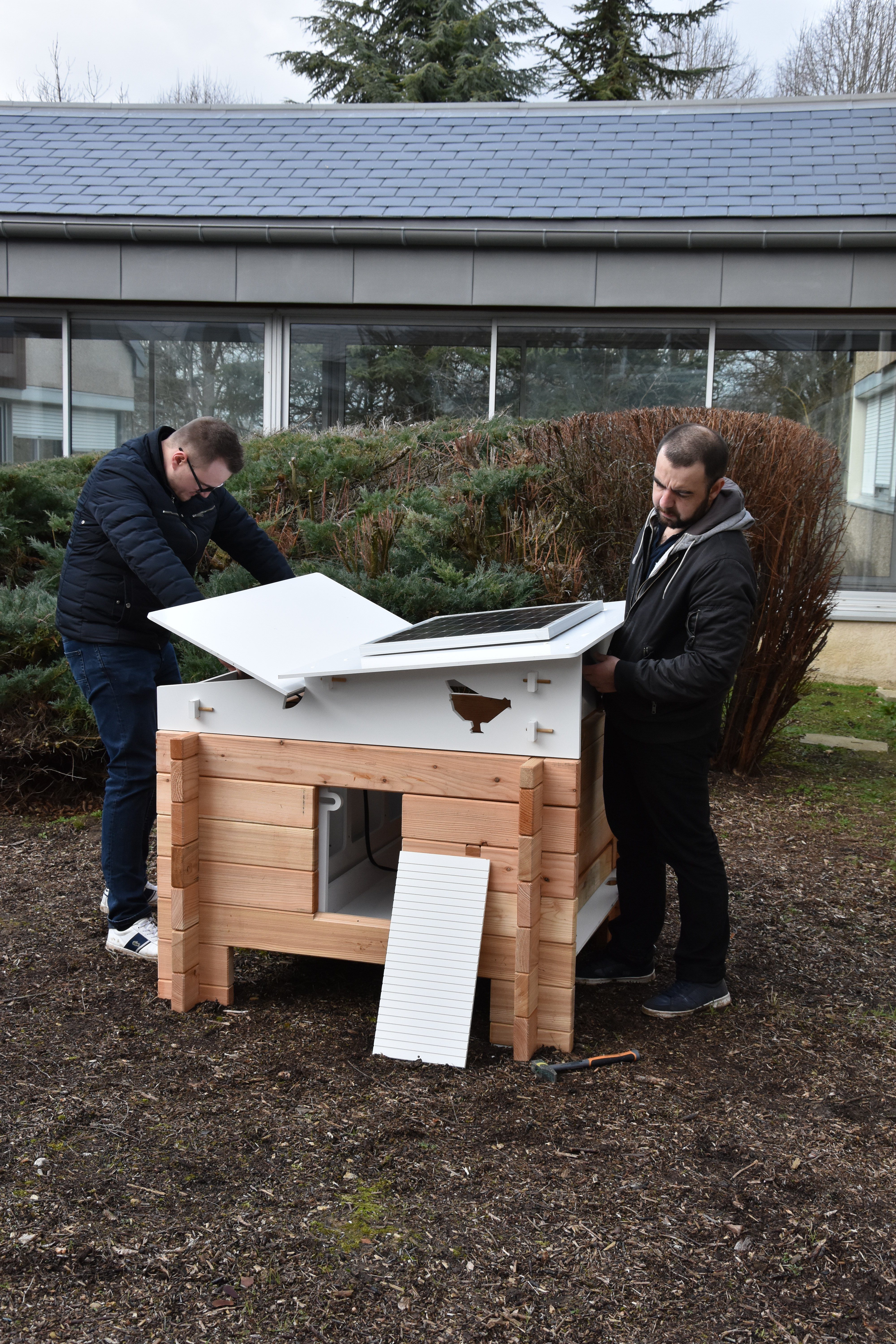 Des Poulaillers Connectés Dans Les Collèges Yvelinois Yvelines Infos