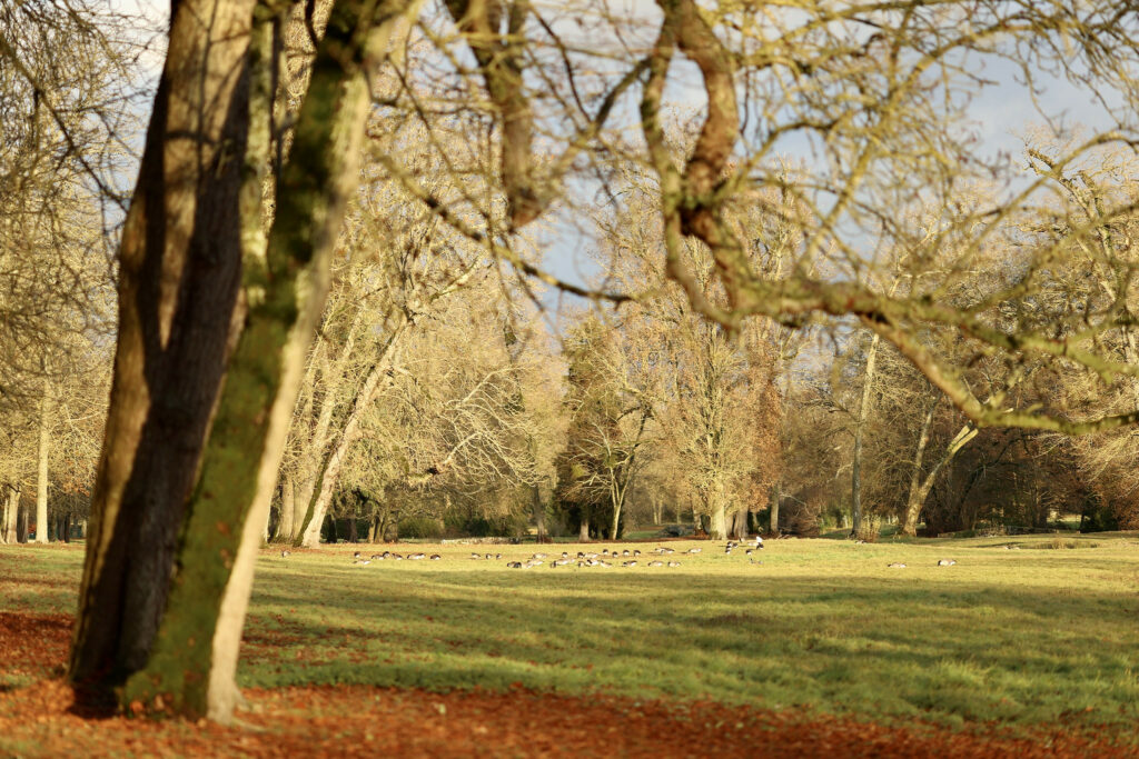 Parc du château de Rambouillet © Nicolas DUPREY/ CD 78