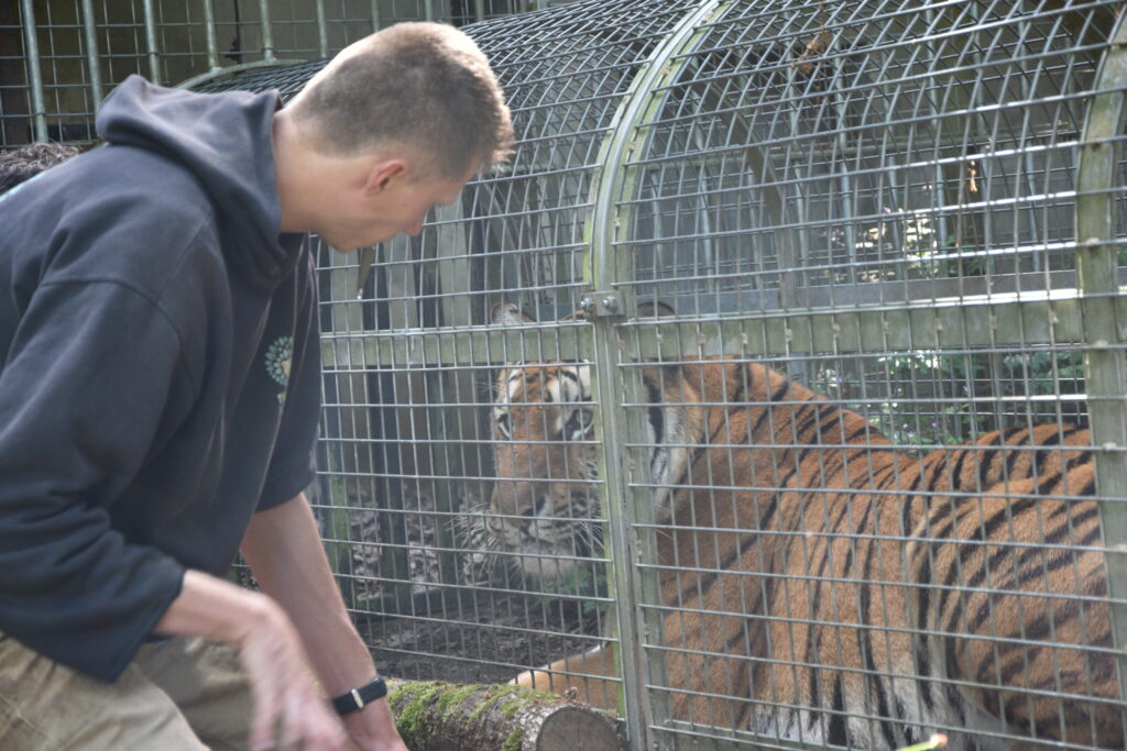 Découverte de Thoiry avec Simon, soigneur animalier © CD78/S.GAYET