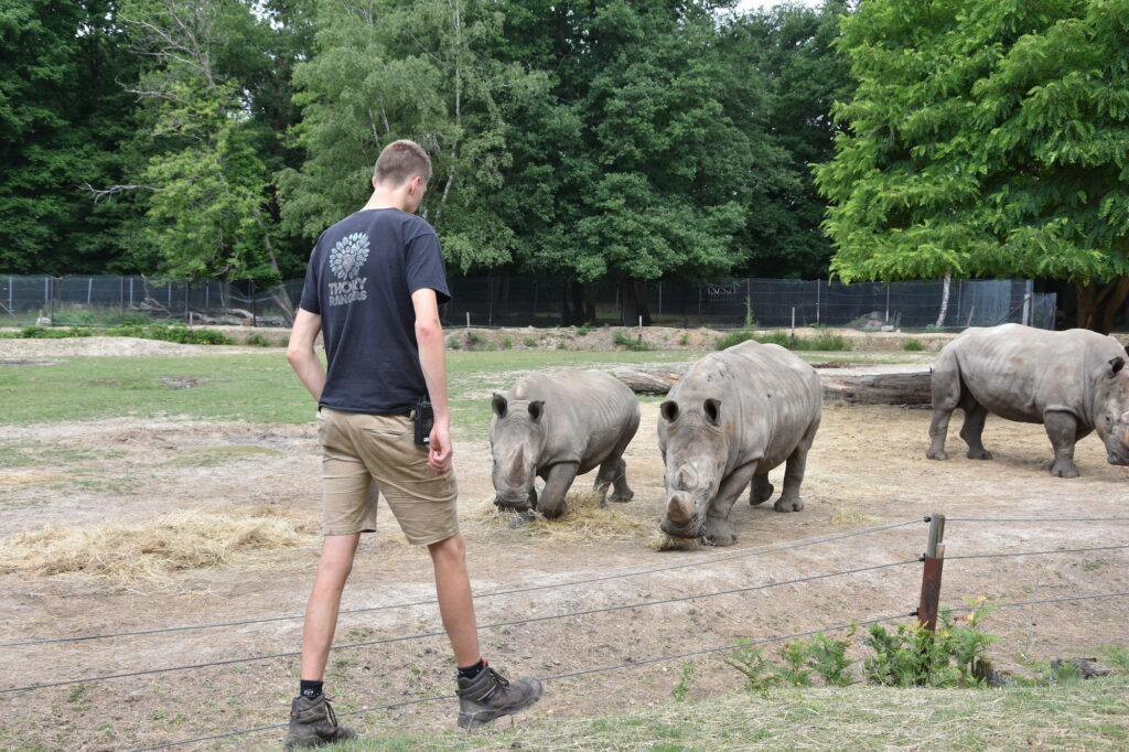 Découverte de Thoiry avec Simon, soigneur animalier © CD78/S.GAYET