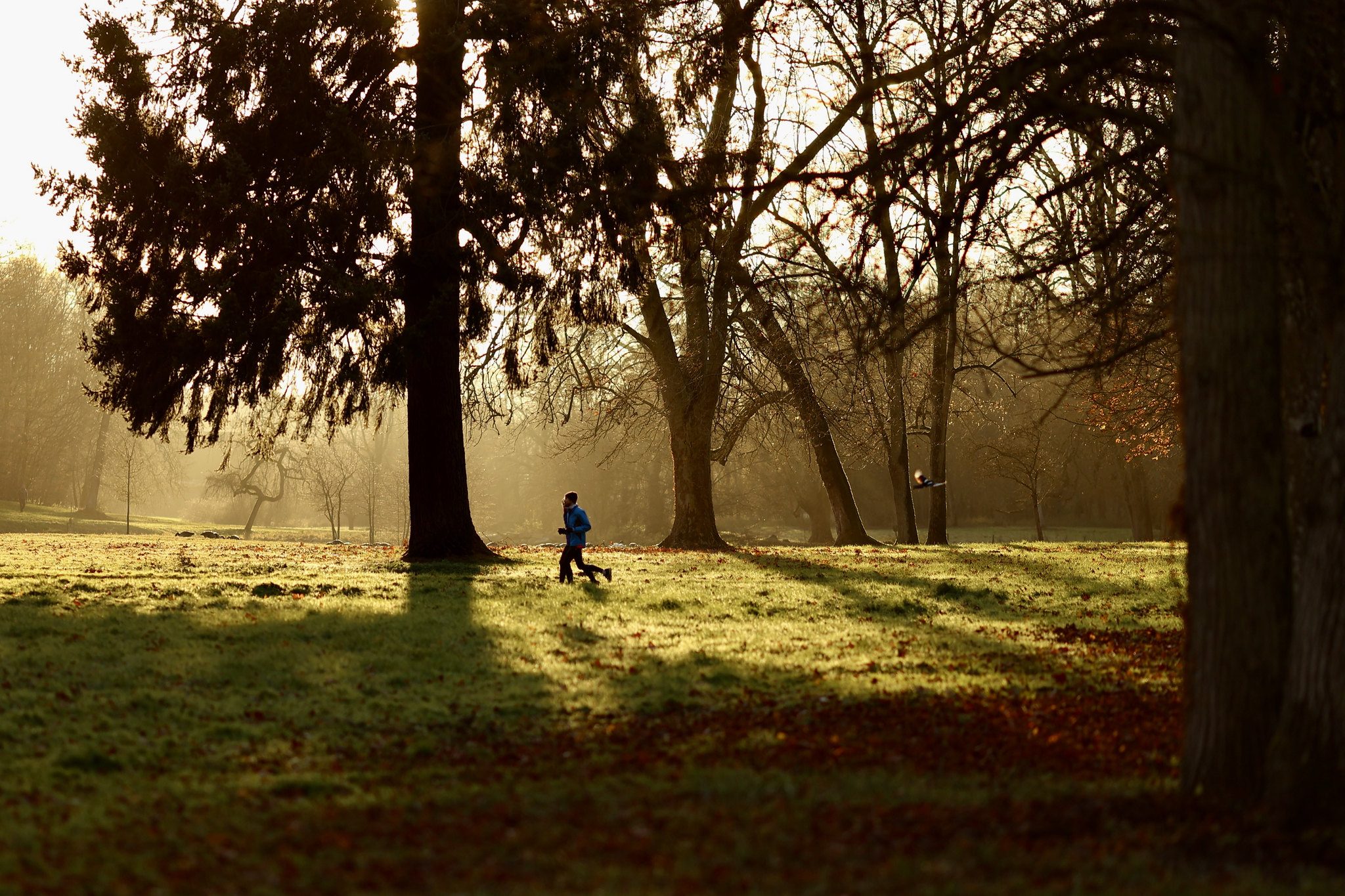 Que faire ce week-end dans les Yvelines ? © CD78/N.DUPREY