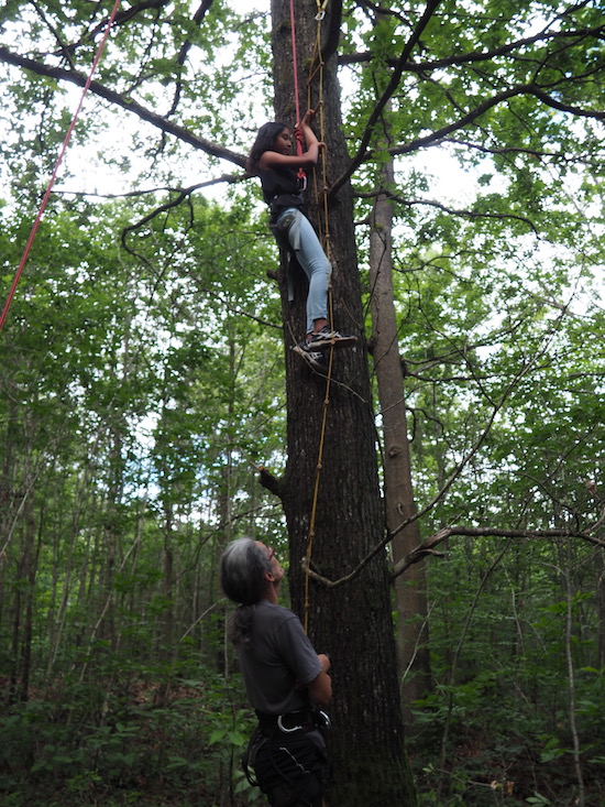 Les écodélégués grimpent aux arbres © CD78/C.BRINGUIER